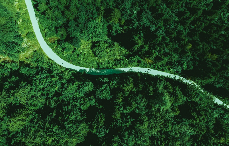 �������������������ƶ���ɫ����