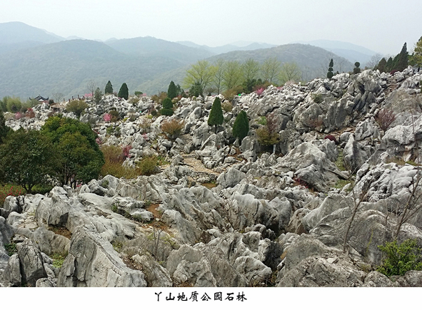 6165cc��ɳ��վ(China)������޹�˾-BinG�ٿ�