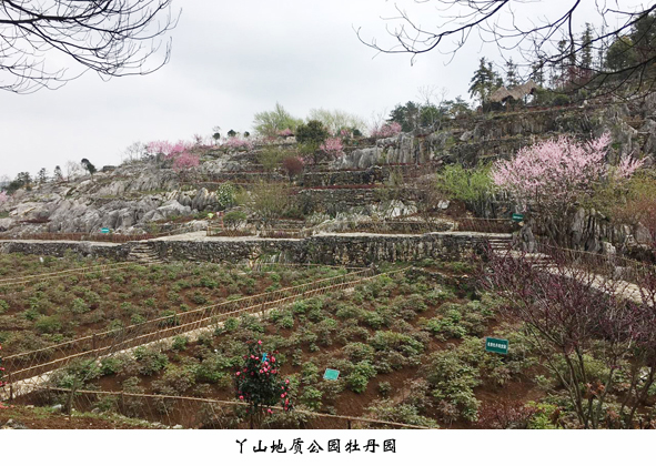 6165cc��ɳ��վ(China)������޹�˾-BinG�ٿ�