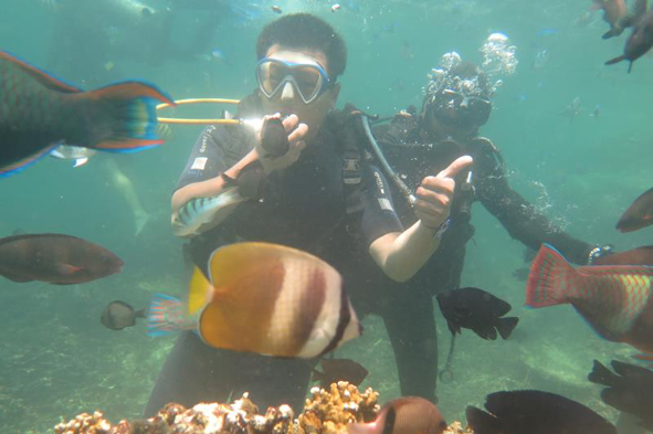 6165cc��ɳ��վ(China)������޹�˾-BinG�ٿ�