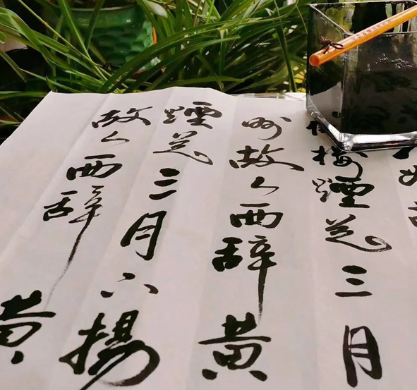 6165cc��ɳ��վ(China)������޹�˾-BinG�ٿ�